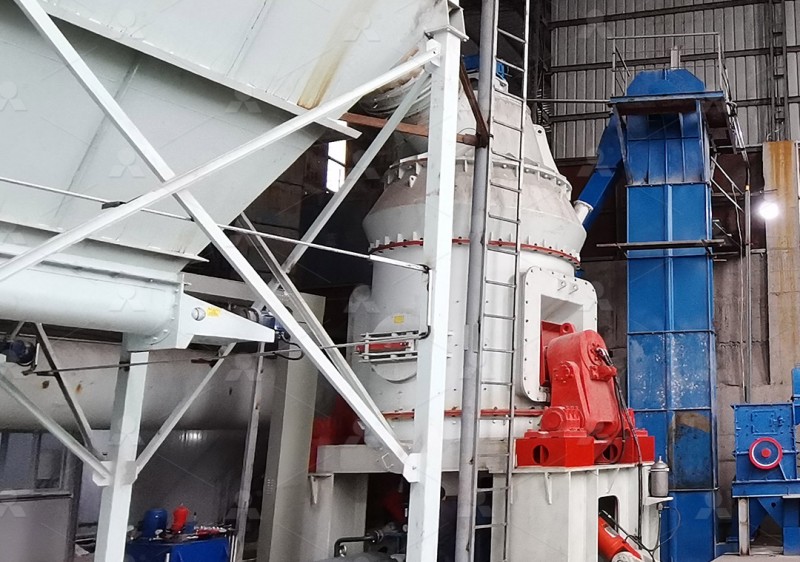 LM vertical roller mill in mineral processing plant