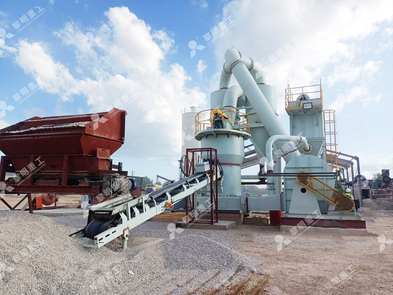 Modern mineral processing plant in Liaoning