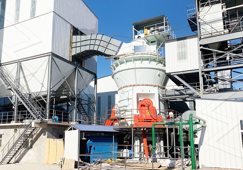 Industrial roller mill installation