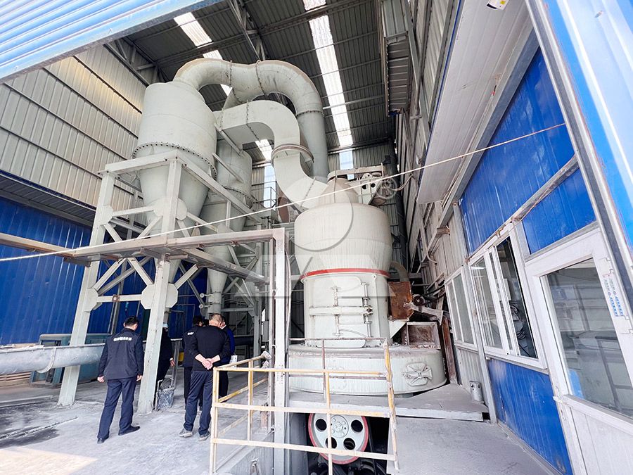 Industrial grinding mill installation