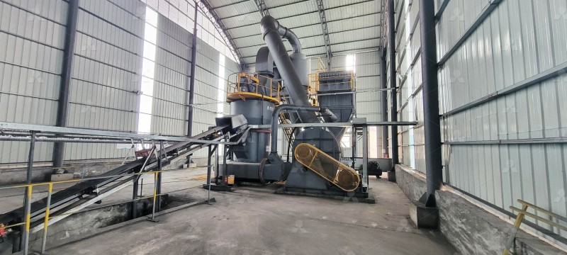 Grinding rollers and ring of trapezium mill