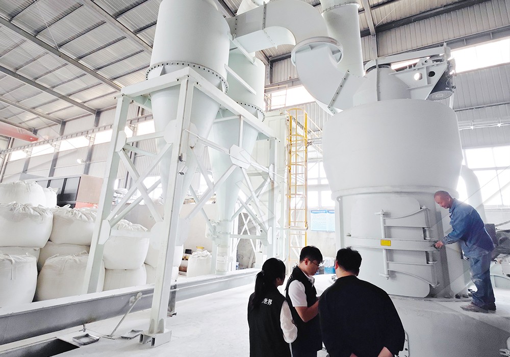 Gypsum powder production line with advanced grinding mill