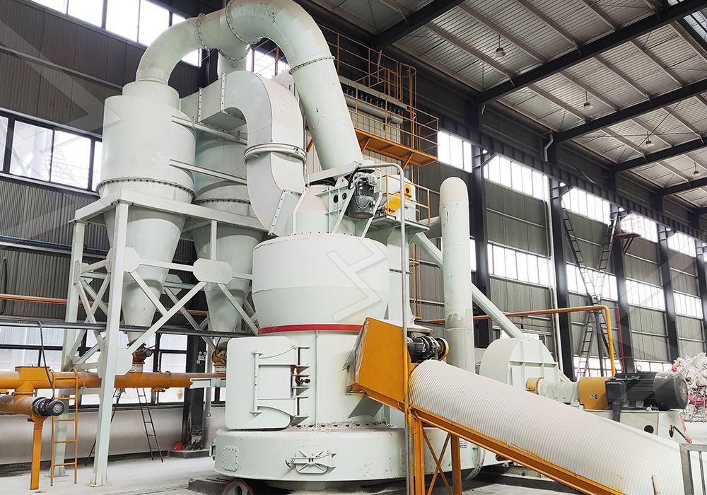 Raymond mill application in mineral processing